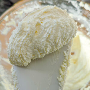 Creamed butter and sugar close up on a spatula