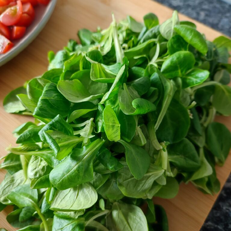 Corn Salad a.k.a Lamb s Lettuce on the working surface