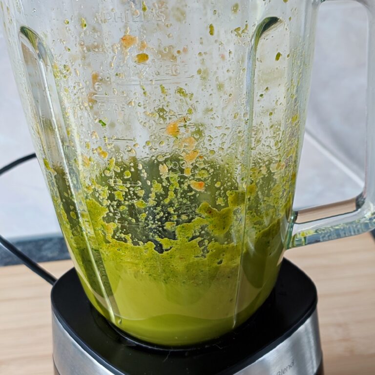 Blended marinade mixture in a blender