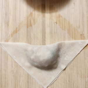 Boat shaped potsticker (4)