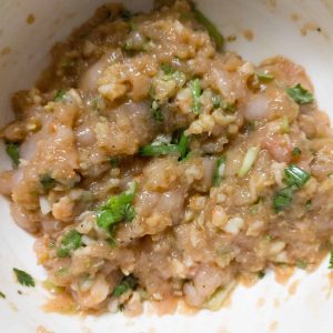 Potstickers filling (after mixing) in a bowl